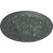 Ekena Millwork Stockport Ceiling Medallion, Hand-Painted Athenian Green Crackle, 11 3/4"OD x 3/8"P CM12STAGC - alternate 4